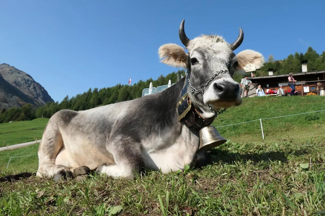 Naturapart Leo Apartamento Sölden